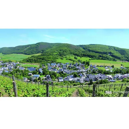 19 Im Herrenfeld Burgen (Bernkastel-Wittlich)